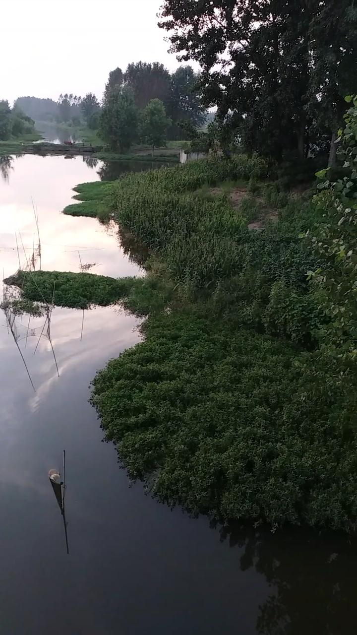 资讯 第37页