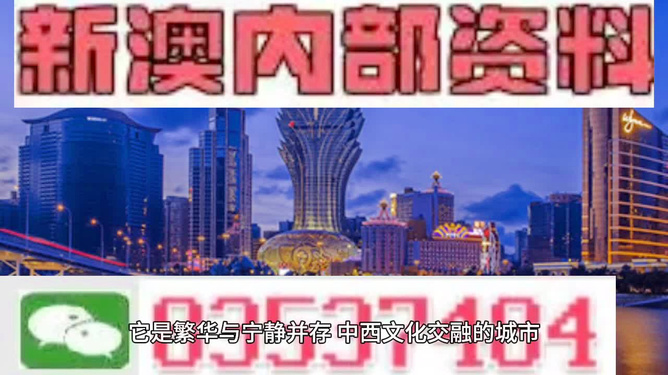 澳门资料新解，精选解析与精准落实