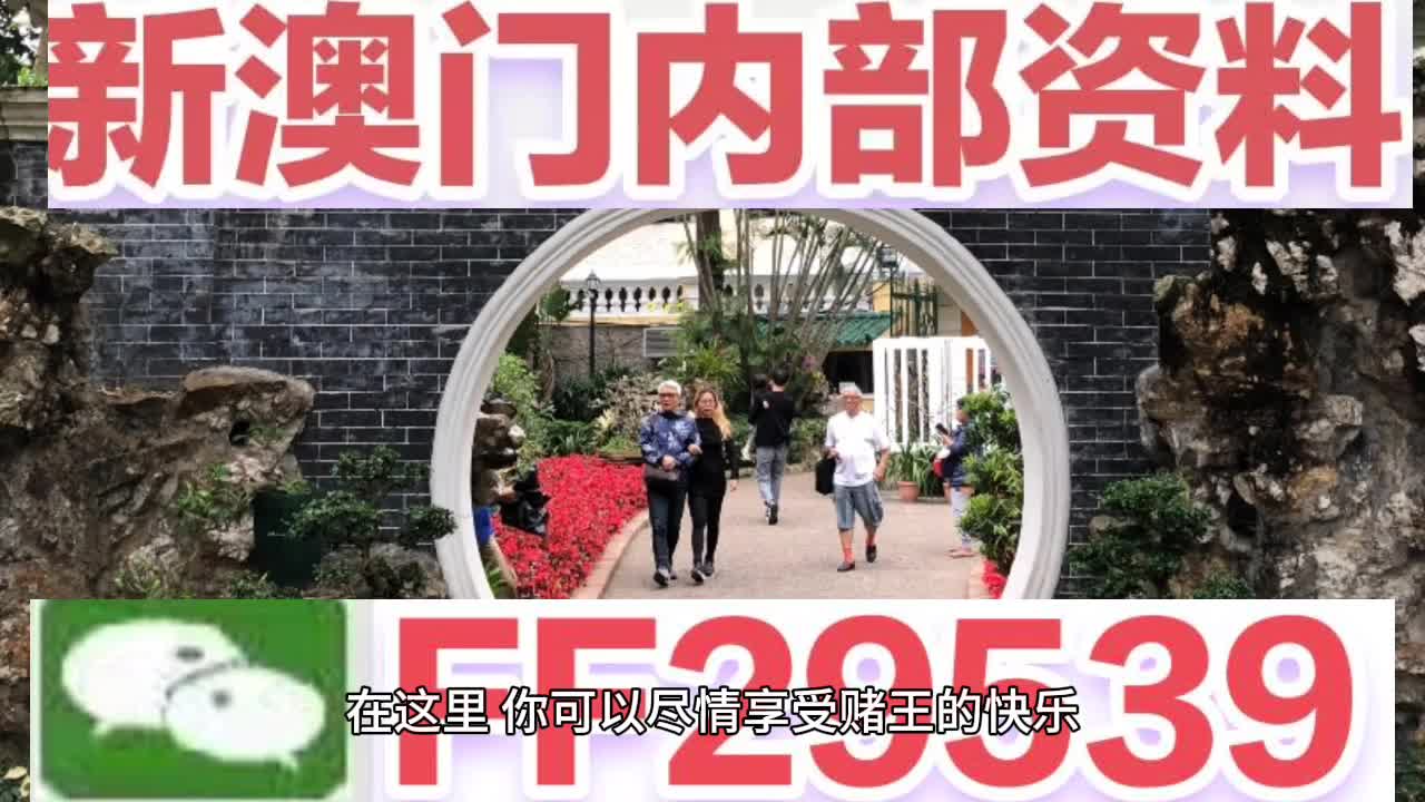2025新澳精准正版澳门码，词语释义解释落实